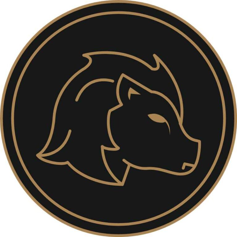Read more about the article Jakie kamienie dla zodiakalnych Lwów